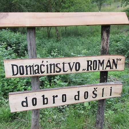 Country House Roman Doboj Exterior foto
