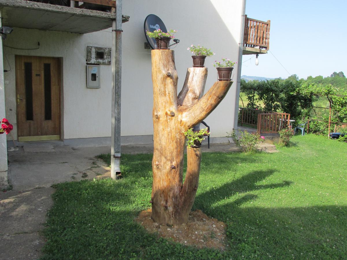 Country House Roman Doboj Exterior foto